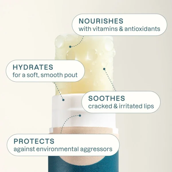 Cliganic Organic Lip Balm Set – 6 Assorted Flavors | 100% Natural Lip Care for Dry & Cracked Lips - Image 5
