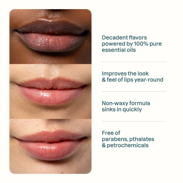 Cliganic Organic Lip Balm Set – 6 Assorted Flavors | 100% Natural Lip Care for Dry & Cracked Lips - Image 2